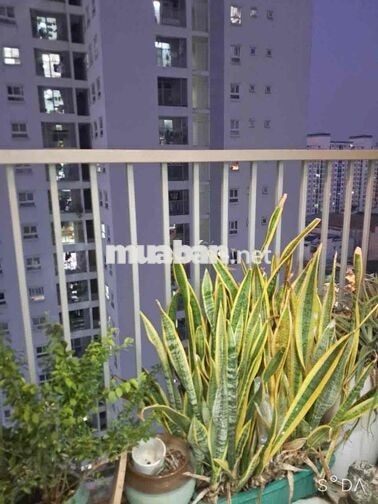 Cho thuê chcc Prosper Plaza q12 phan văn hớn