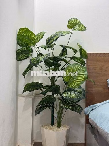 Cho thuê căn hộ balcony-thang máy mới 100%-chợ Bến Thành - Takashimaya