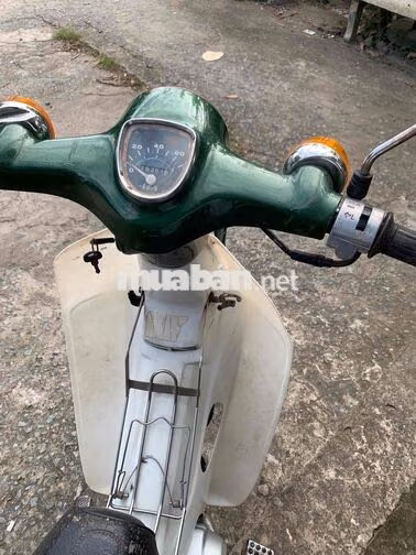 Honda Cub 50 1981 Xanh Bến Tre