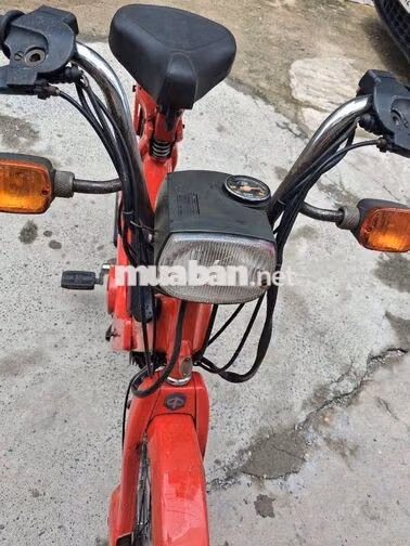Piaggio Ciao 49cc 2 thì, có giao lưu các loại xe