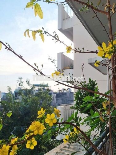CHÍNH CHỦ BÁN CĂN HỘ CHUNG CƯ TÂN TẠO (VĨNH TƯỜNG) - SỔ HỒNG RIÊNG