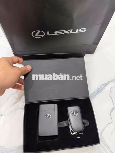 Lexus RX300 2021 Trắng 59000 km