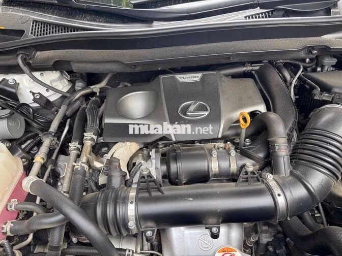 Lexus RX300 2021 Trắng 59000 km