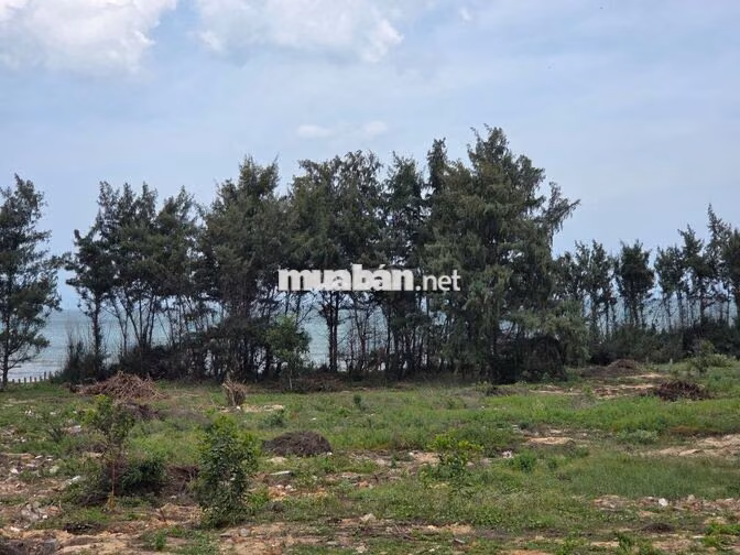 Bán 6000m2 MT Lạc Long Quân, Tp Phan thiết, mặt biển, gần Bikini beach