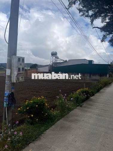 CHÍNH CHỦ BÁN ĐẤT PHÚ HỘI – 127,7M² – 75,5M² THỔ CƯ – SỔ RIÊNG