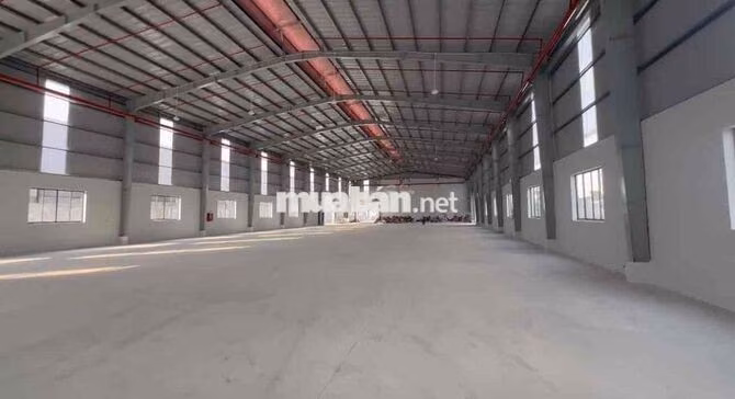 CHO THUÊ XƯỞNG 5000M² – KCN TÂN ĐỨC, ĐỨC HÒA, TÂY NINH GIÁ CHỈ TỪ 3,2