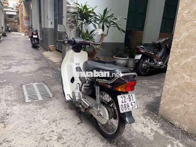 Honda Dream Nâu trắng Xe số