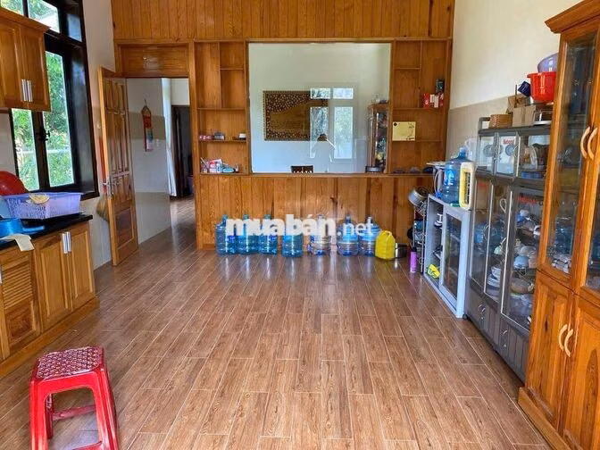 CHO THUÊ VILLA SÂN VƯỜN 1000M2 Nguyễn An Ninh phường 6 Đà Lạt 25TR