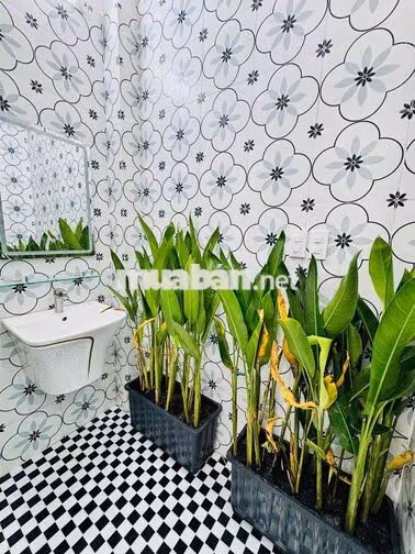 NHÀ MỚI XÂY 5 TẦNG-THANG MÁY 450KG-FULL NỘI THẤT CAO CẤP-QUANG TRUNG