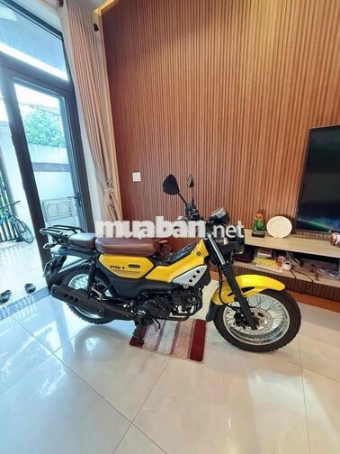 Yamaha PG-1 2024 Vàng 9000 km