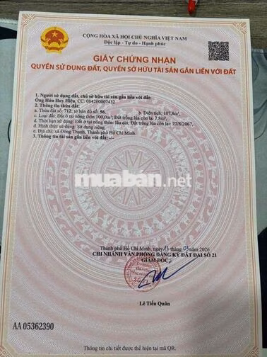 CẦN BÁN 2 LÔ ĐẤT MẶT TIỀN ĐÔNG THẠNH8-1. GẦN CHỢ GẤU LÊ VĂN KHƯƠNG