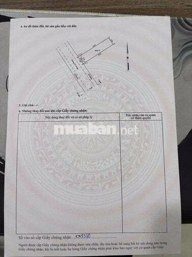 CẦN BÁN 2 LÔ ĐẤT MẶT TIỀN ĐÔNG THẠNH8-1. GẦN CHỢ GẤU LÊ VĂN KHƯƠNG
