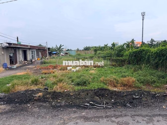 BÁN ĐẤT ĐÔNG THẠNH HÓC MÔN GIÁP QUẬN 12