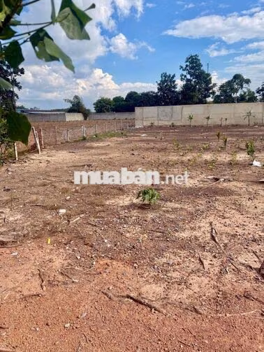 Bán đất Chánh Phú Hoà đường nhựa 5,5m cách đường DT741 tầm 70m dân đôn