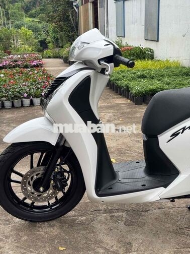 Honda 125 chính chủ phố đẹp không lỗi
