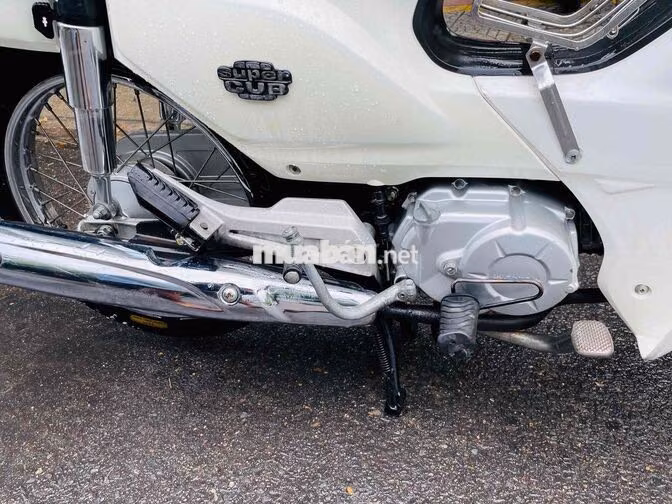 Honda Dream 2015 Trắng Xe số Việt Nam