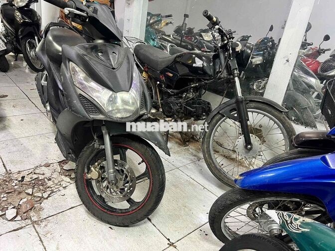Detech Win Xe số Đen Việt Nam