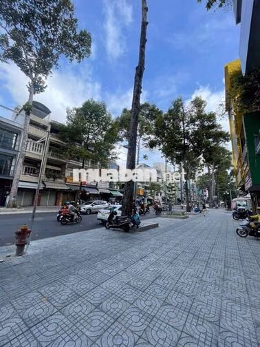 bán nhà 5 tầng có Thang Máy ,Mặt Tiền Lý Thường Kiệt,Quận 10, 31,5 tỷ