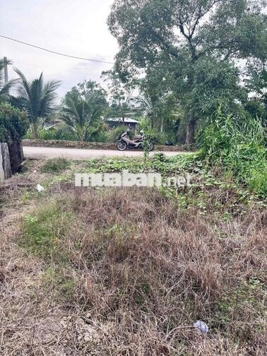 BÁN NỀN THỔ CƯ 70M² LỘ Ô TÔ – PHONG ĐIỀN, CẦN THƠ