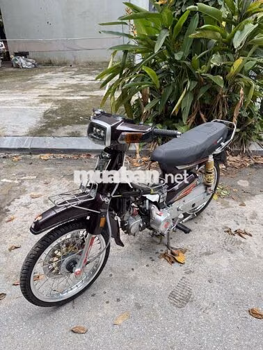 Honda Dream 50cc Nâu