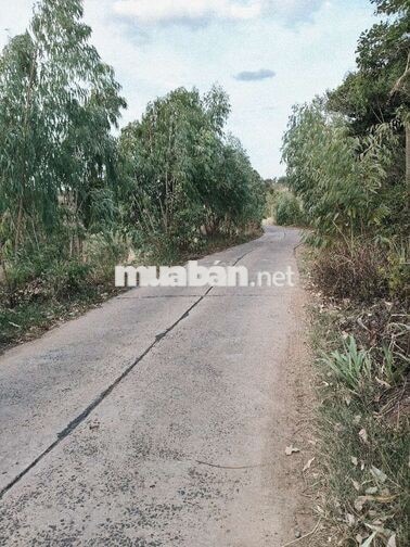 Bán lô đất sổ sẵn thổ cư view Hồ, gần biển Xóm Cát. Ngang bám 56m