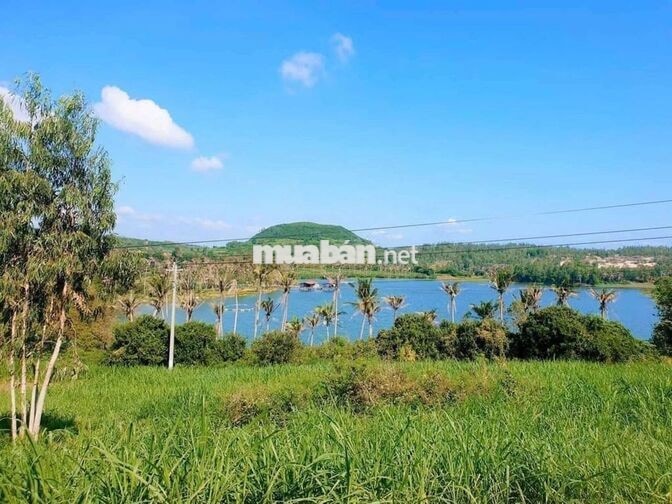 Bán lô đất sổ sẵn thổ cư view Hồ, gần biển Xóm Cát. Ngang bám 56m