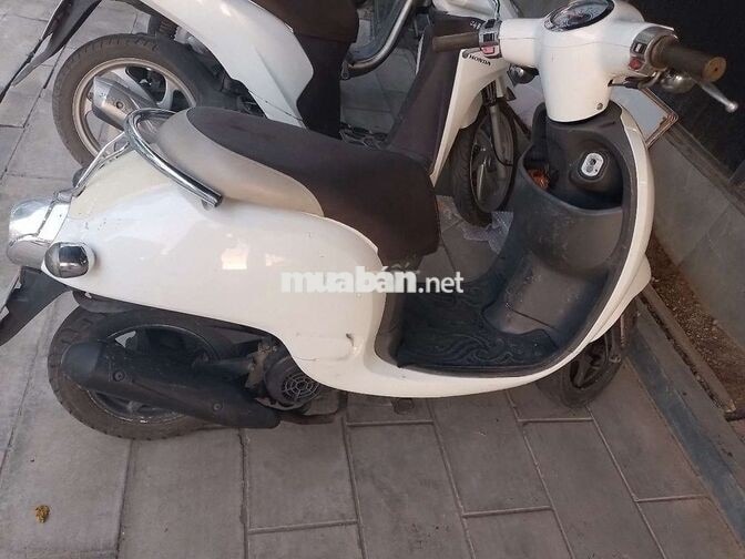 Xe tay ga FIGIORMO 50cc Trắng