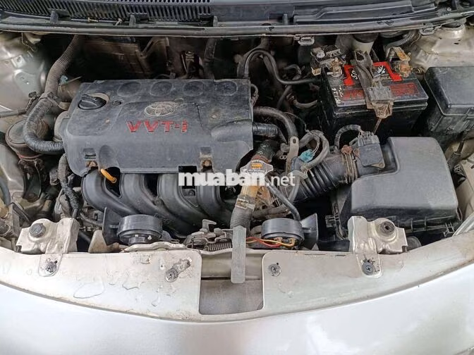 Toyota Vios 2010 Bạc