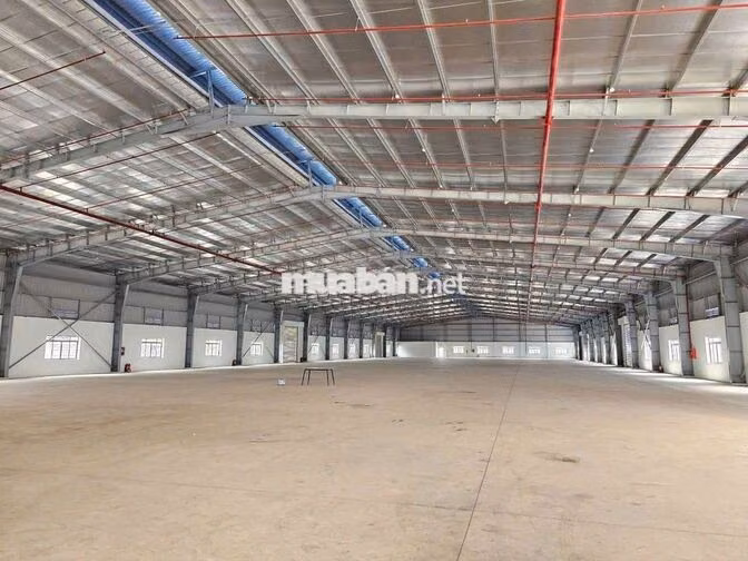 Cho Thuê Nhà Kho Thuận An gần Vsip 1. Dt: 1000m Giá: 65tr có Xuất VAT