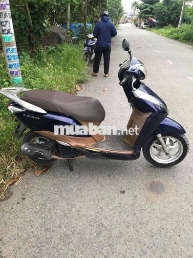 Honda Lead Xanh, Nâu