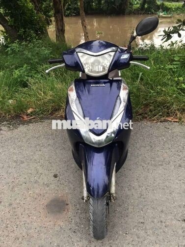 Honda Lead Xanh, Nâu