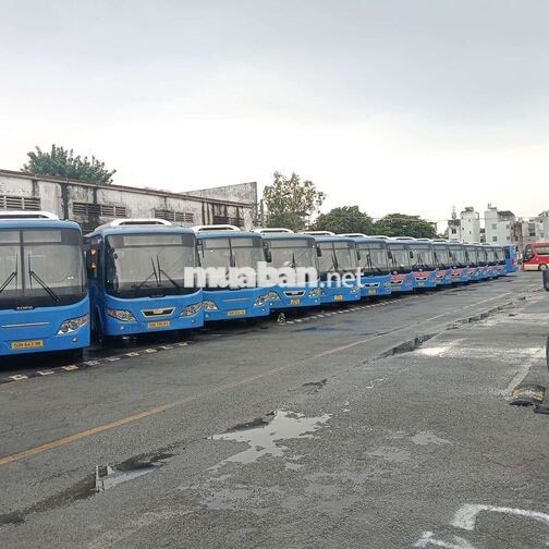 Samco Bus 2016 Xanh 5.2L