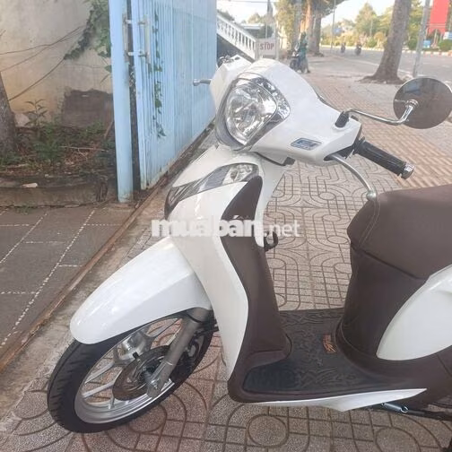 Honda SH Mode Trắng Xe tay ga