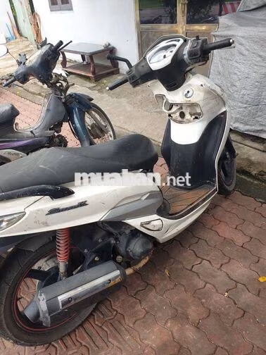 SYM Shark 125 Trắng Nhập khẩu