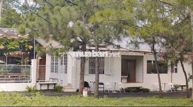 700M² MẶT TIỀN 19/5 – ĐỐI DIỆN RỪNG THÔNG, GIÁ CHỈ 1 TỶ XXX!