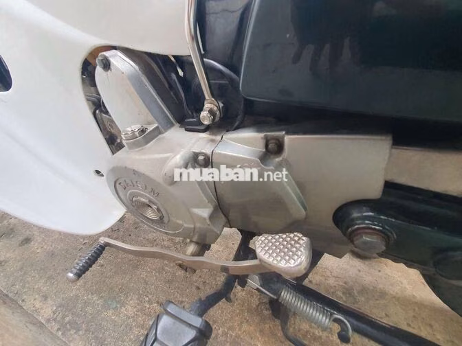 Daisim Cub 2020 Xanh trắng 110cc