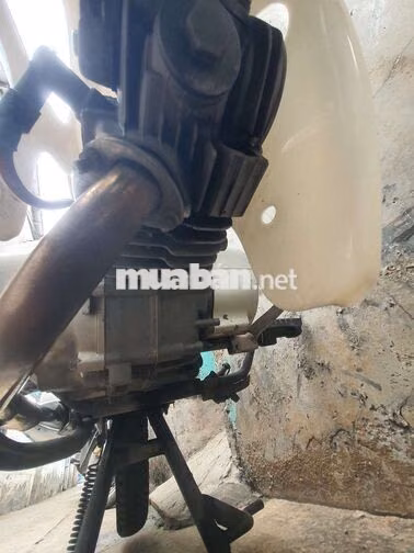 Daisim Cub 2020 Xanh trắng 110cc