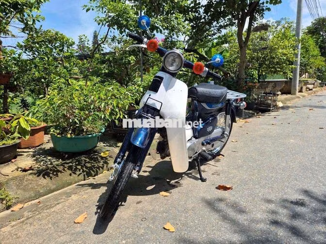 Honda Super Cub Xanh
