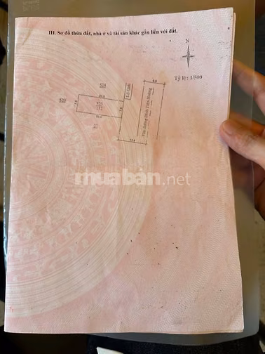 Bán đất mặt tiền Đinh Tiên Hoàng – P.2, TP. Bảo Lộc – 152m²