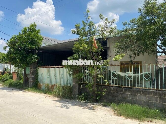 GIÁ TỐT! ĐẤT NHÀ XƯỞNG 460,6M²-BÌNH MỸ-CỦ CHI - ĐƯỜNG 9M -  GIÁ 7,9 tỷ