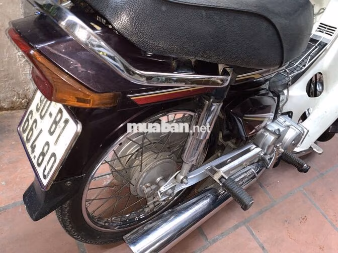 Honda Super Dream 2013 Nâu, Trắng