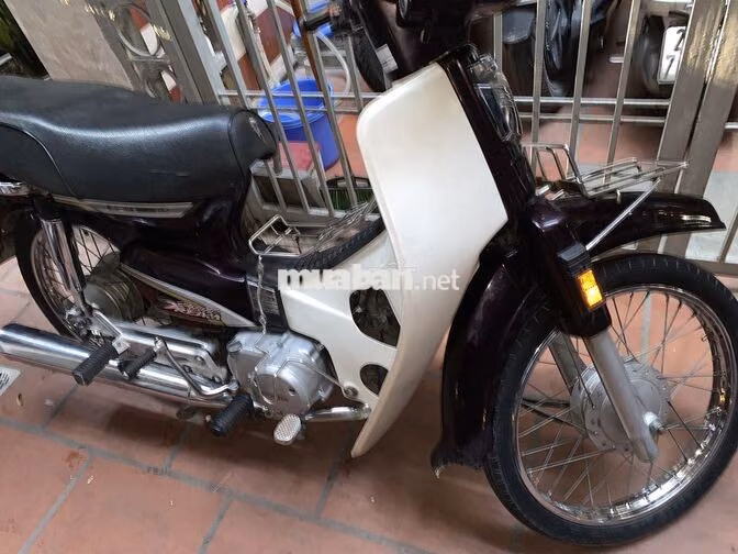 Honda Super Dream 2013 Nâu, Trắng