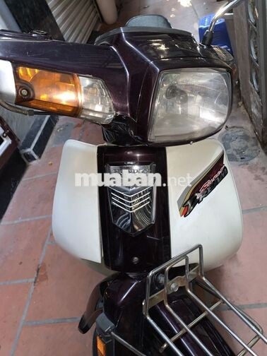 Honda Super Dream 2013 Nâu, Trắng