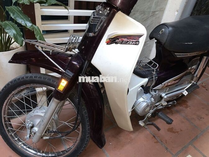 Honda Super Dream 2013 Nâu, Trắng