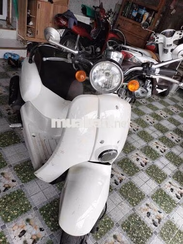 Honda Cree Scoopy 50cc Trắng Học sinh