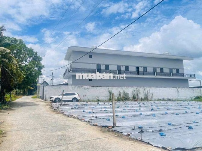 Bán nền thổ cư đối diện trường đại học Nam Cần Thơ đường Nguyễn Văn Cừ