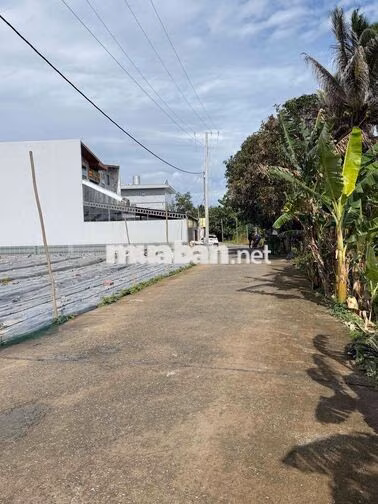 Bán nền thổ cư đối diện trường đại học Nam Cần Thơ đường Nguyễn Văn Cừ