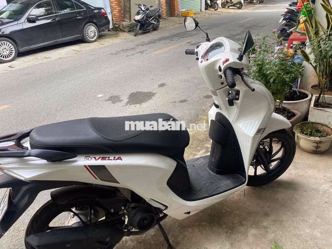 Xe ga Velia 50cc 2026 Trắng