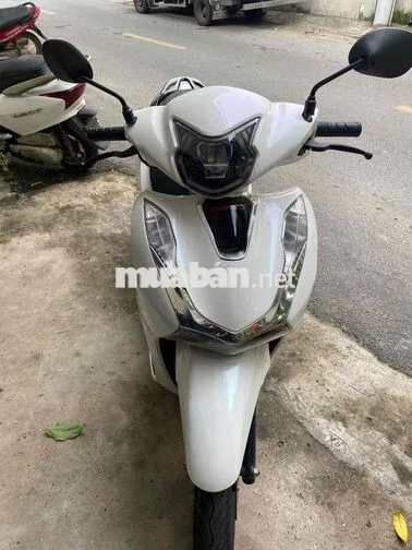 Xe ga Velia 50cc 2026 Trắng
