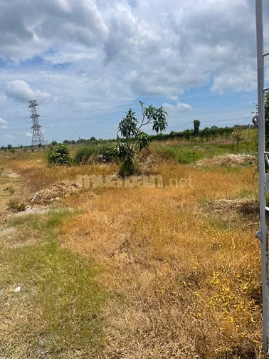 2 lô đất vườn ấp Lộc Trung, xã Hưng Thuận, thị xã Trảng Bàng, Tây Ninh